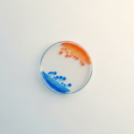 Cocrystal's CDI-988 Enters Phase 1b Human Challenge Study for Norovirus