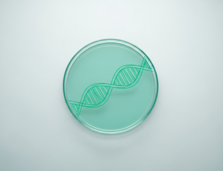 Kymera Advances STAT6 Degrader KT-621 in Phase 2b Atopic Dermatitis, Asthma Trials
