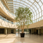 Pumitamig shows 72.7% response rate in Phase 2 squamous NSCLC trial