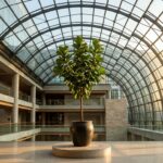 Teva's TEV-749 olanzapine LAI shows 80% stabilization rate in schizophrenia trial